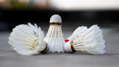 best shuttlecock|3 Best Badminton Shuttlecock Brands (and Where to Buy).